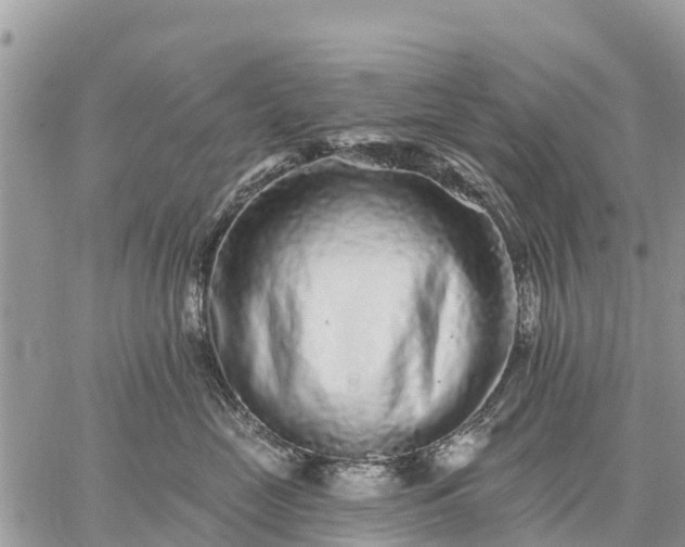 X0000059100669200510172121