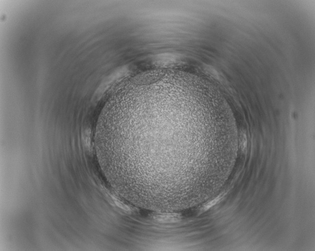 X0000059100670200510172121