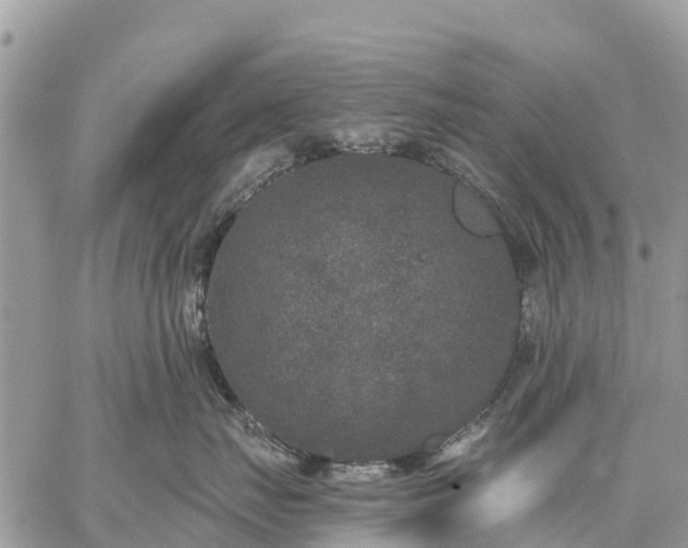 X0000059100671200510172121