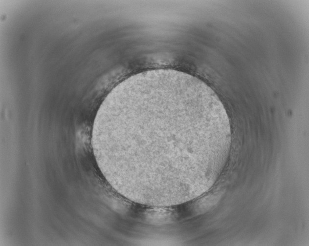 X0000059100672200510172121