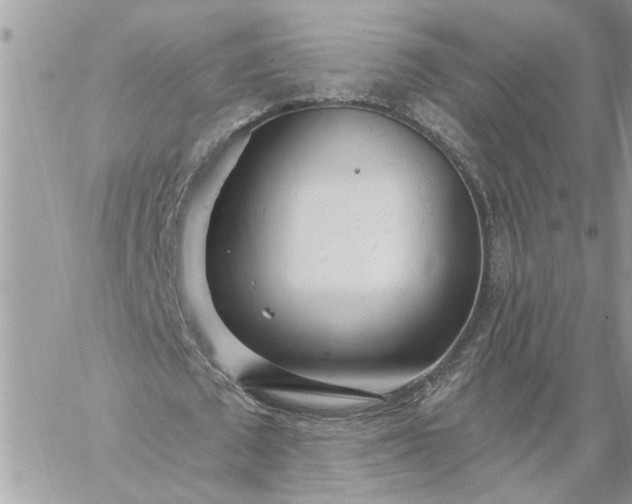 X0000059100673200510172120