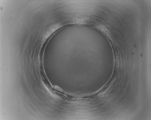 X0000059100674200510172120