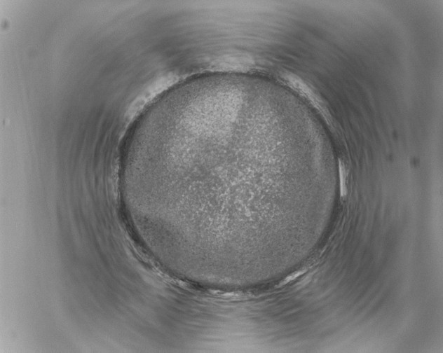 X0000059100675200510172120