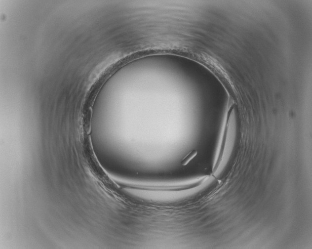 X0000059100676200510172120