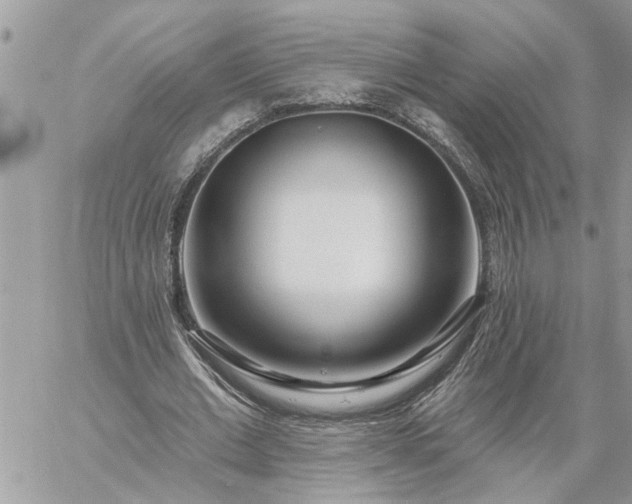 X0000059100677200510172120