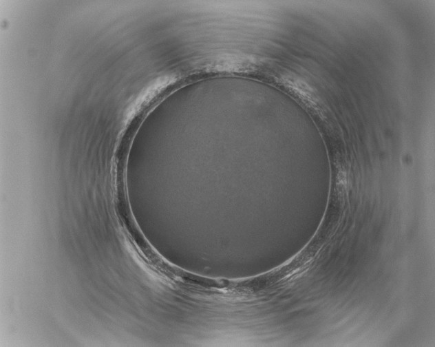 X0000059100678200510172120