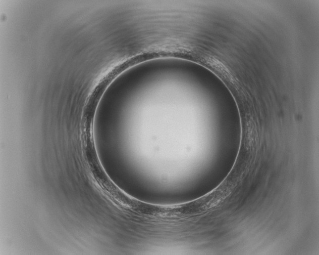 X0000059100680200510172120