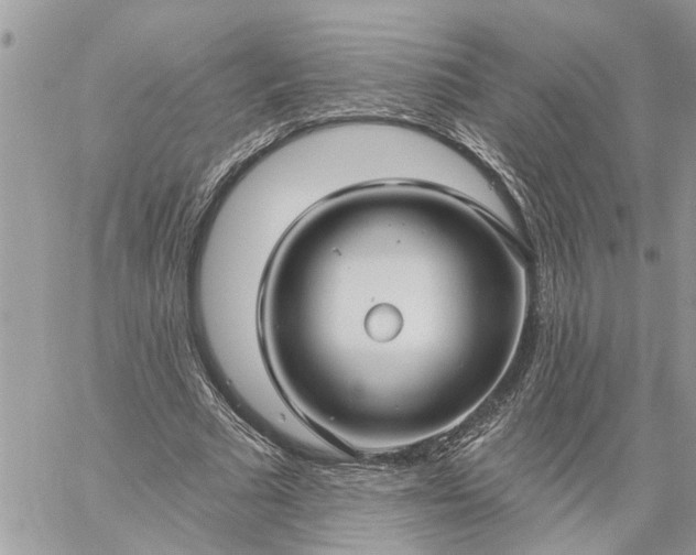 X0000059100681200510172120