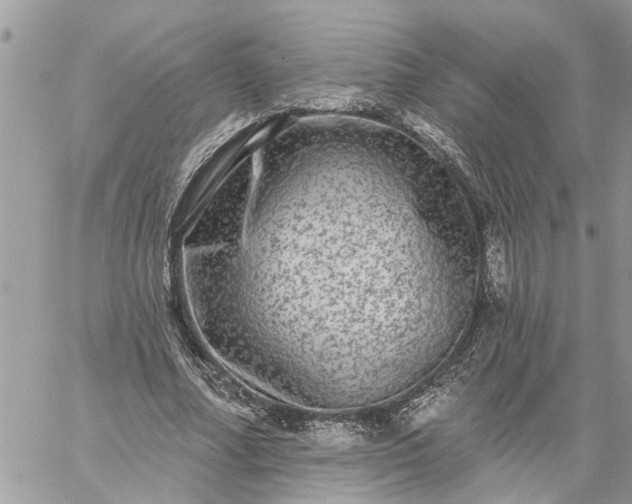 X0000059100682200510172120