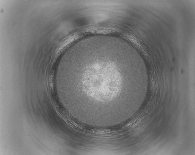 X0000059100683200510172120