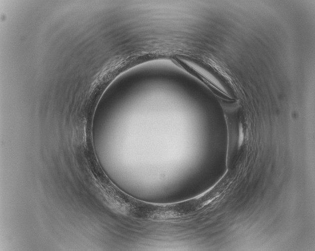 X0000059100685200510172120