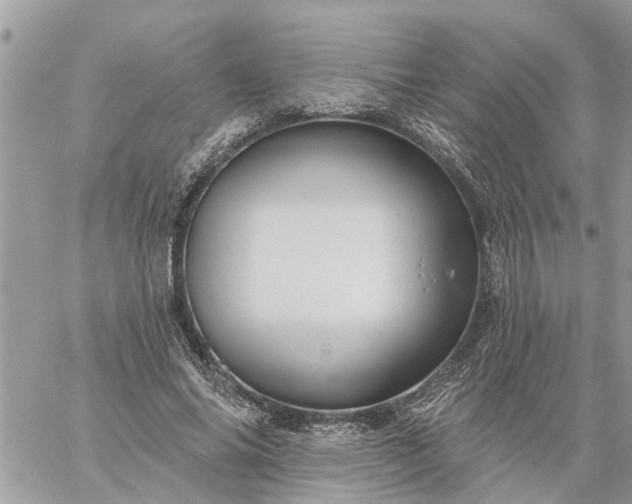 X0000059100686200510172120