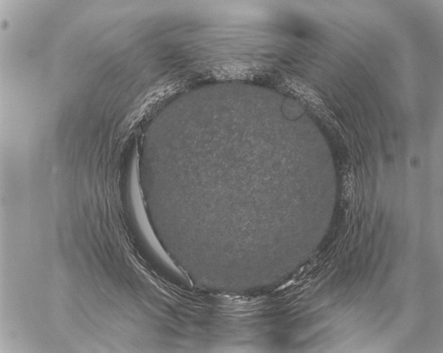 X0000059100687200510172120