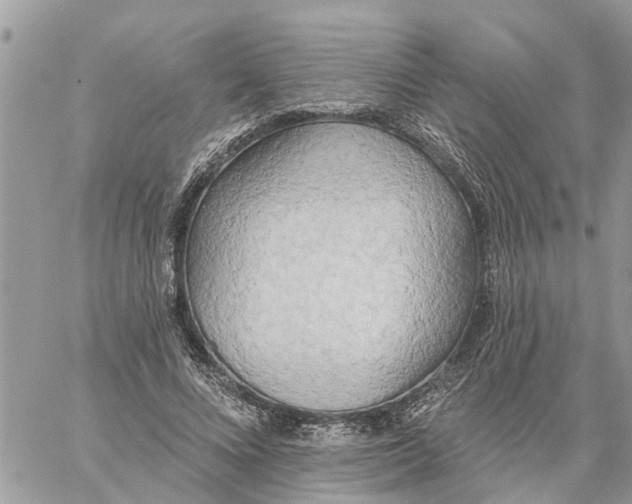 X0000059100688200510172120