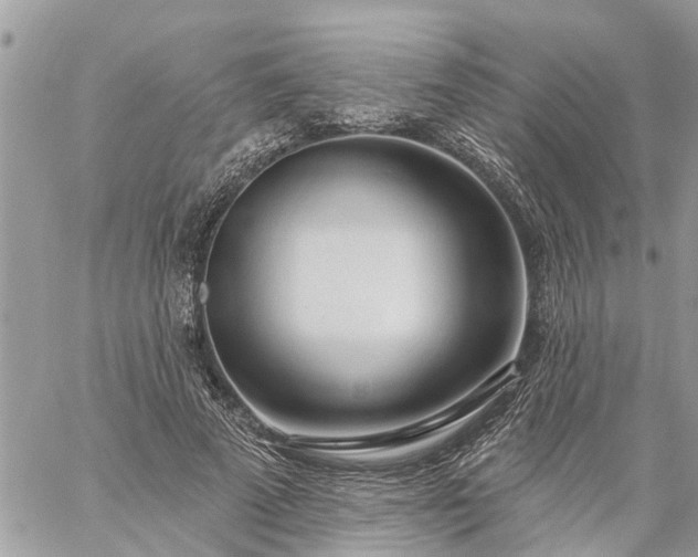 X0000059100689200510172120