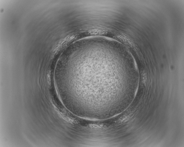 X0000059100690200510172120