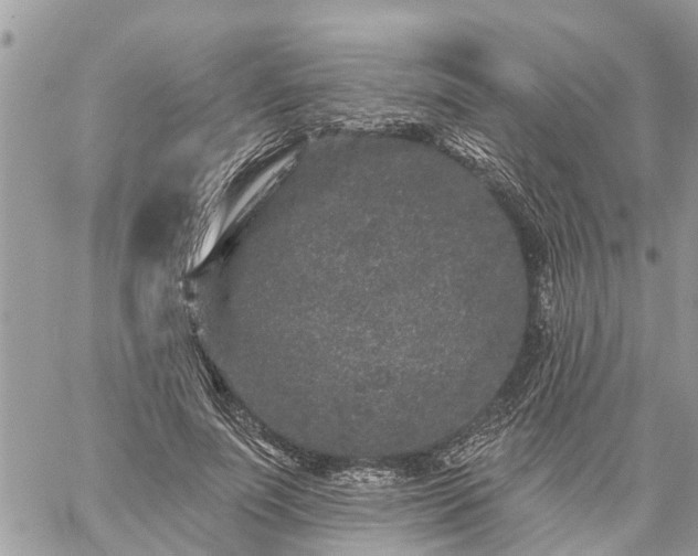 X0000059100691200510172120