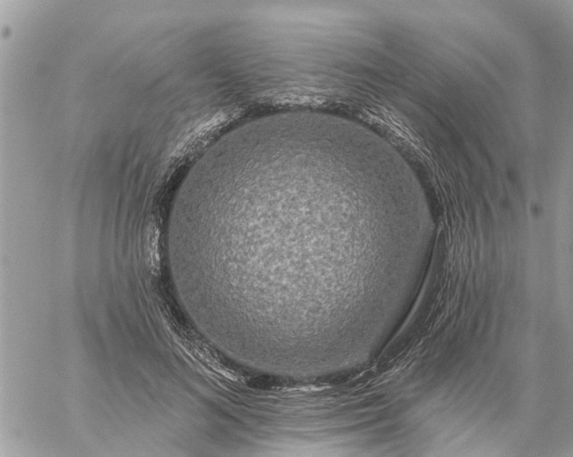 X0000059100692200510172120