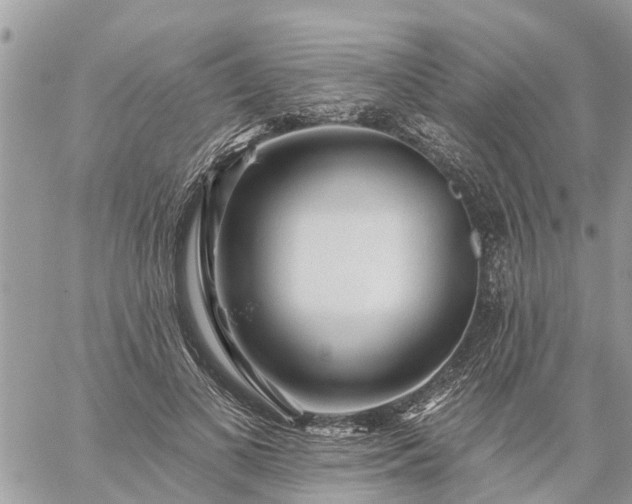 X0000059100693200510172120