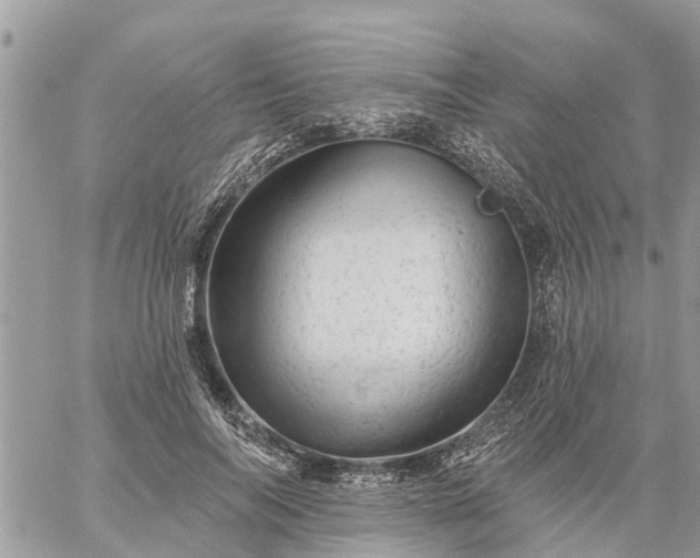 X0000059100694200510172120