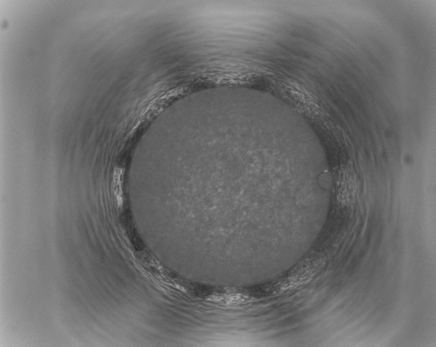 X0000059100695200510172120