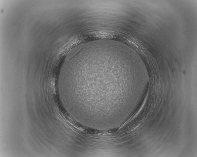 X0000059100696200510172120