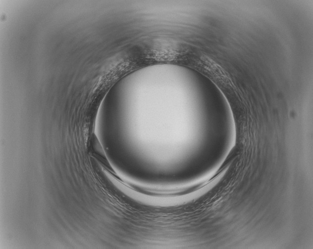 X0000059100697200510172120