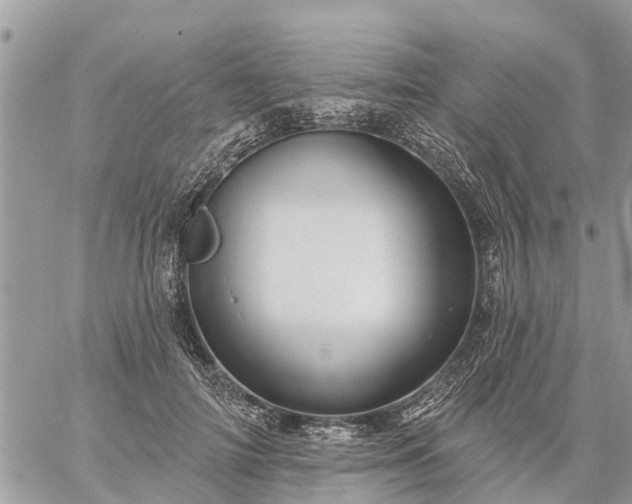 X0000059100698200510172120