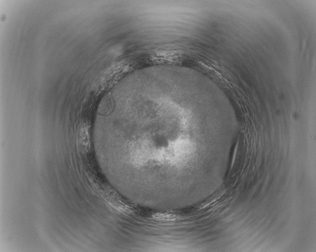 X0000059100699200510172120