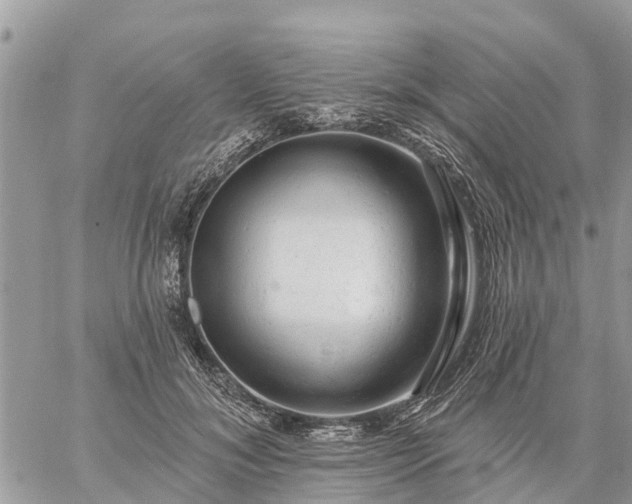 X0000059100700200510172120