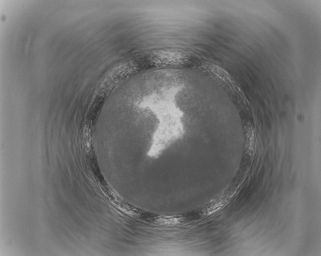 X0000059100701200510172120