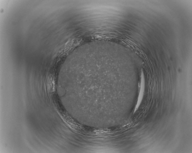 X0000059100703200510172120