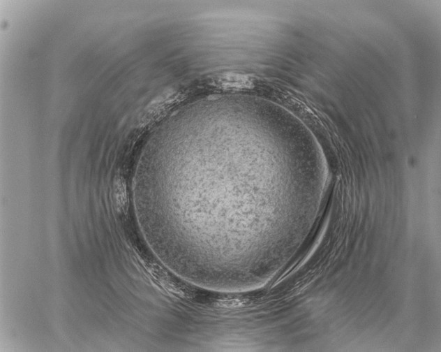 X0000059100704200510172120