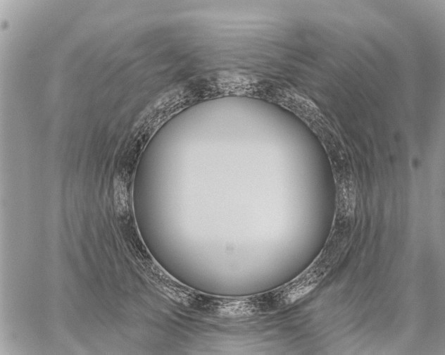 X0000059100705200510172120