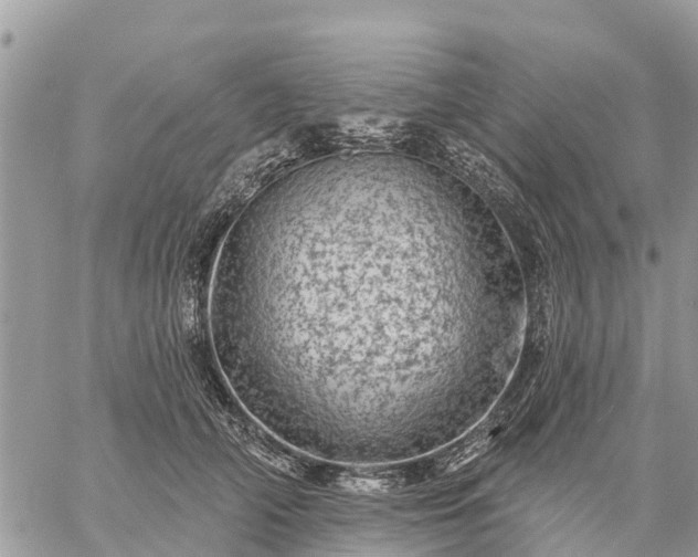 X0000059100706200510172120