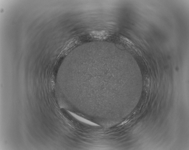 X0000059100707200510172120