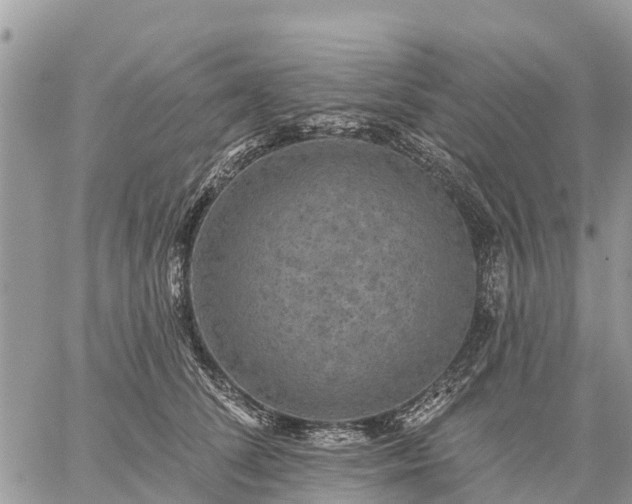 X0000059100708200510172120