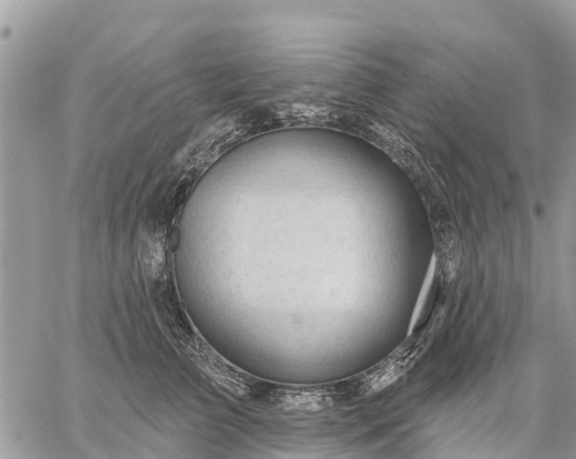 X0000059100709200510172120