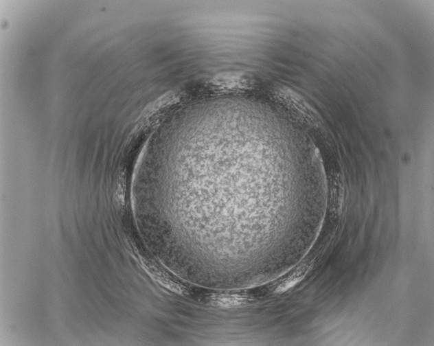 X0000059100710200510172120