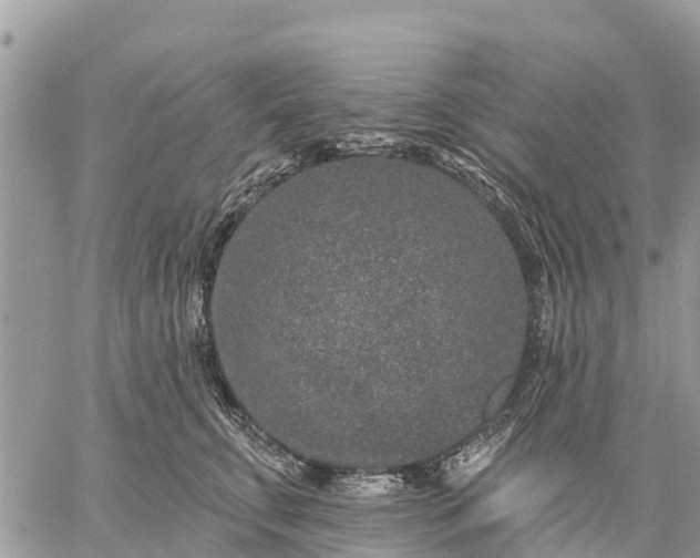 X0000059100711200510172120