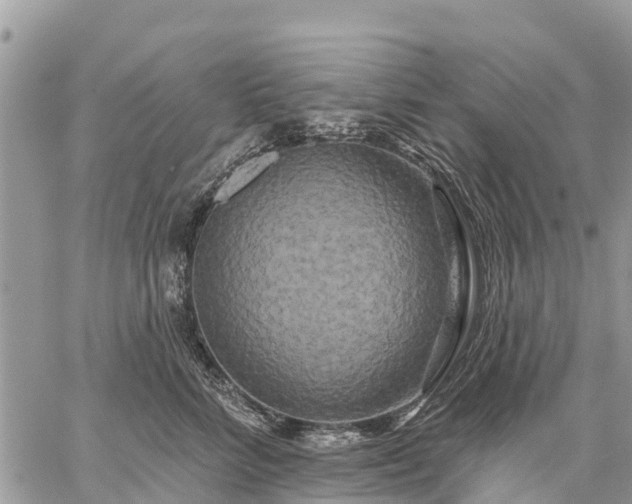 X0000059100712200510172120