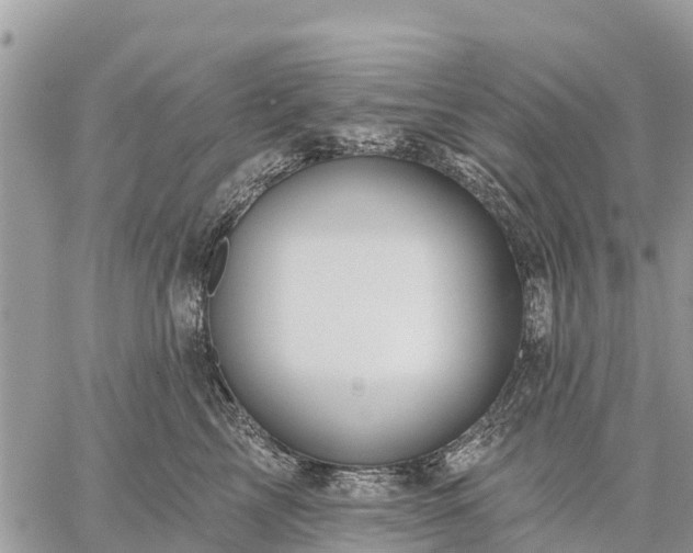 X0000059100713200510172120