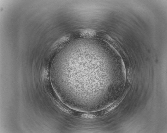 X0000059100714200510172120