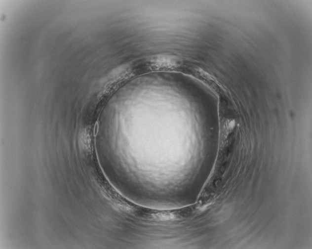 X0000059100715200510172120