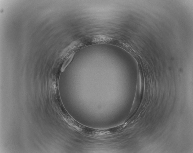 X0000059100716200510172120