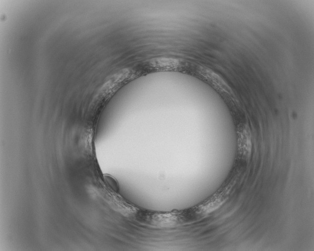 X0000059100717200510172120