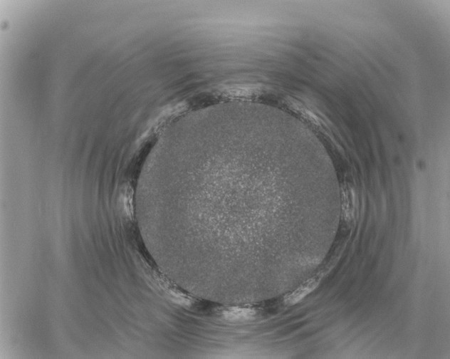 X0000059100718200510172120