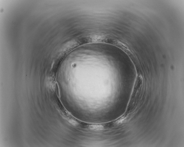 X0000059100719200510172120