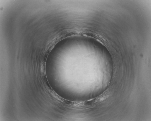 X0000059100720200510172120