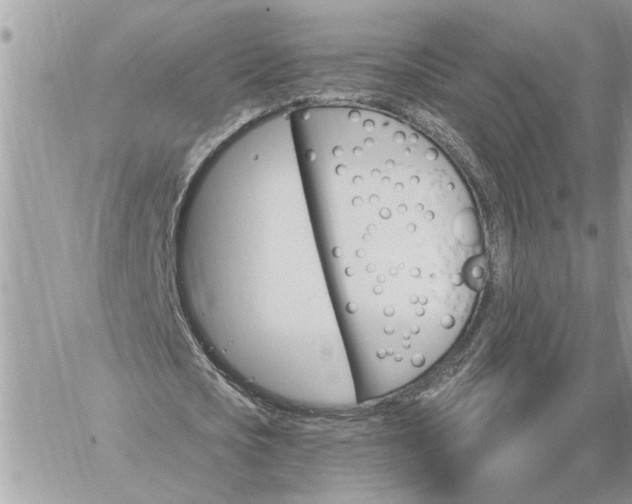 X0000059100721200510172119